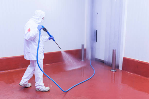 Best Spring Cleaning  in Nooksack, WA